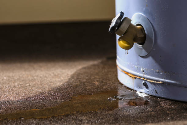 Best Water damage contractors near me  in Martins Additions, MD