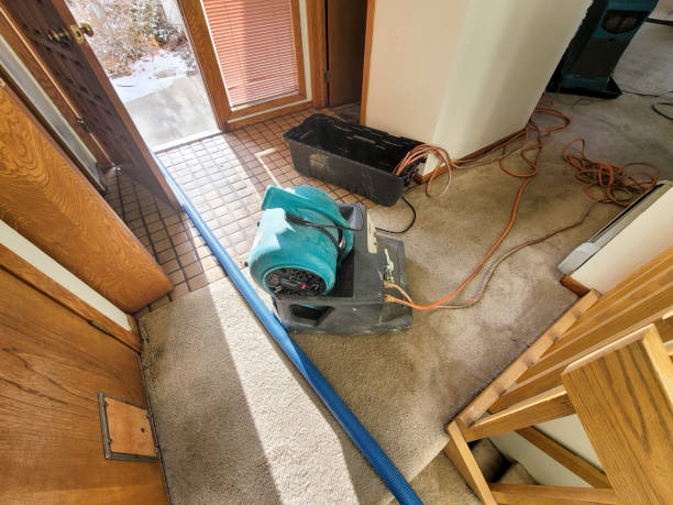 Best Water damage restoration near me  in Martins Additions, MD