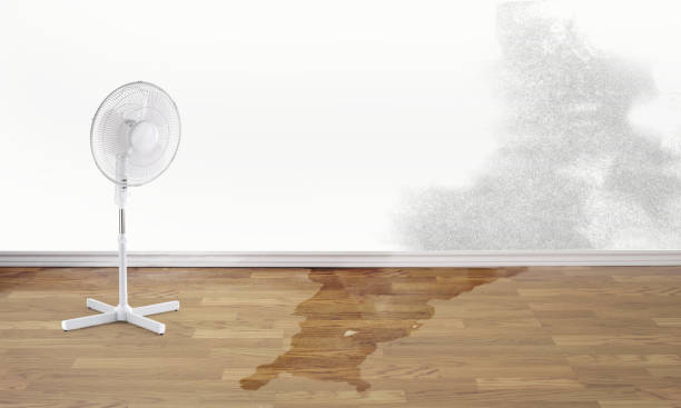 Best Water damage restoration specialists  in Martins Additions, MD