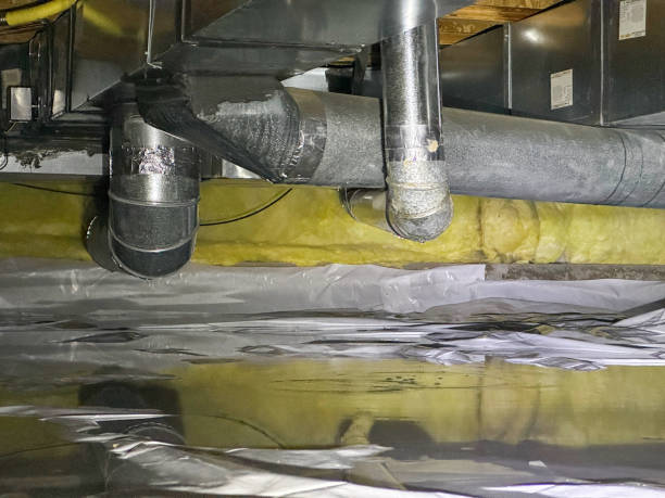 Best Professional water damage repair  in Martins Additions, MD