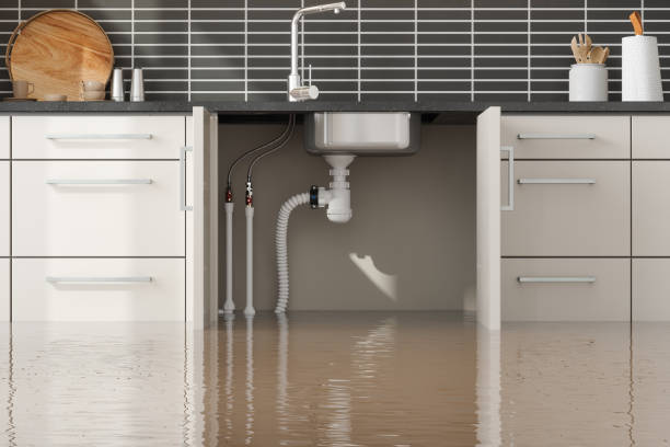 Best Basement water damage restoration  in Martins Additions, MD